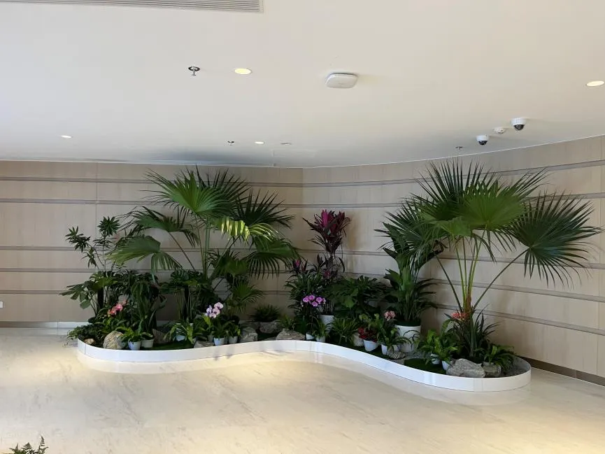 速看！宁波余姚花卉租赁哪家能满足你的需求？